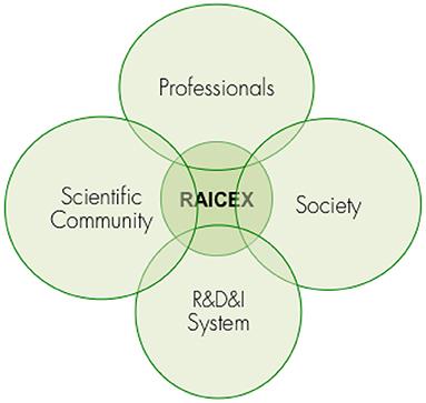 RAICEX: A Successful Story of the Spanish Scientific Diaspora